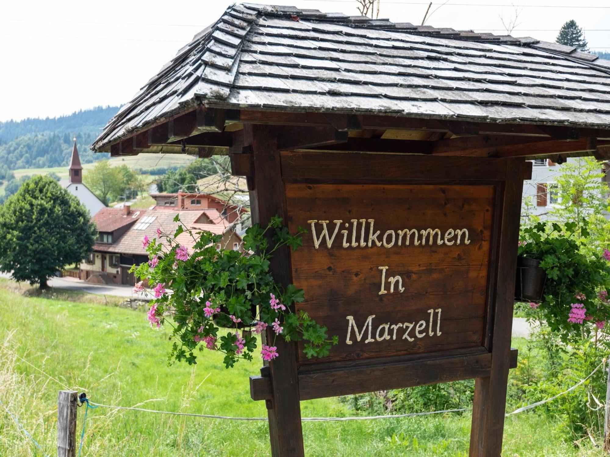 Soothing Apartment in Malsburg-Marzell with Private Garden Exterior foto